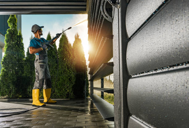 Best Gutter Cleaning  in Marysville, MI